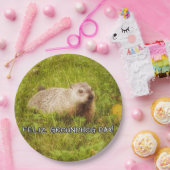 フェリズグラウンドホッグの日！紙プレート ペーパープレート (パーティー)