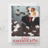 フェリズドいけなッグレッドポーズペットフォトホリデーカード シーズンカード (正面)