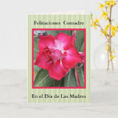 フェリズナビダッドコマドレ721 カード (黄色い花)