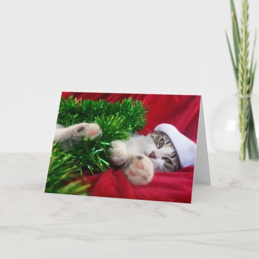 フェリズナビダッド3 シーズンカード (正面)