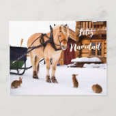 フェリズナビダードクリスマスカントリー小雪の動物 シーズンポストカード (正面)