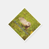 フェリズ・グラウンドホッグの日！ナプキンス スタンダードカクテルナプキン (角)