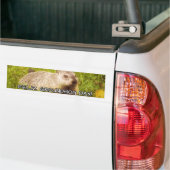 フェリズ・グラウンドホッグの日!バンパーステッカー バンパーステッカー (トラック上)