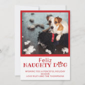 フェリズ・ドいけなッグ・レッド・ポーの跡ペット写真の祝日 シーズンカード (正面)