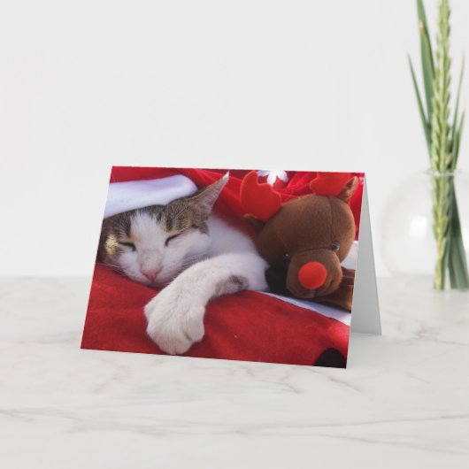 フェリズ・ナビダッド シーズンカード (正面)