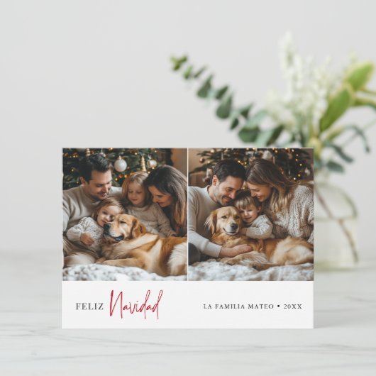 フェリズ・ナヴィダスペインの・クリスマスグリーン写真 シーズンカード (スタンド正面)