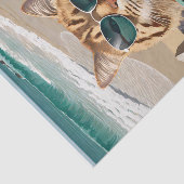 フェリックス蹴り返し、メーヌクーンビーチ 薄葉紙 (詳細)