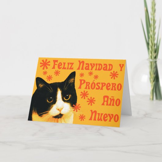 フェリックス・ナビダッド シーズンカード (正面)