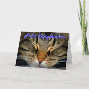 フェリツクンプレースペインのニョス誕生日と猫 カード