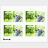 フェリツクンプレーニョスペインのスハッピーバースデー 長方形シール (シート)