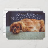 フェリツナビドッグ |休日の写真 シーズンカード (正面/裏面)