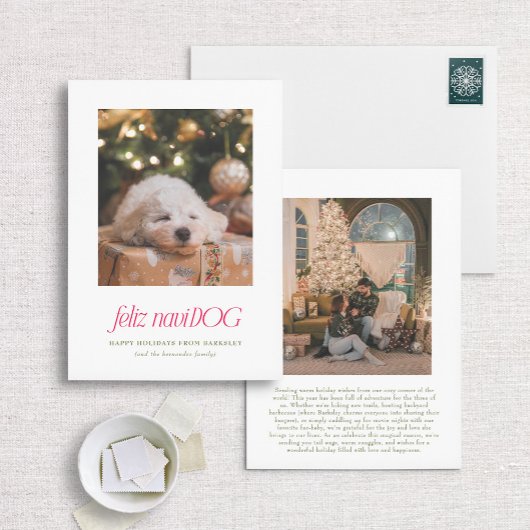 フェリツナビ犬パニーペットクリスマスカード シーズンカード