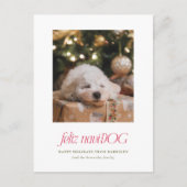 フェリツナビ犬パニーペットフォトクリスマスポストカード シーズンポストカード (正面)