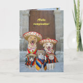 フェリツ・カンプレ！ カード (正面)