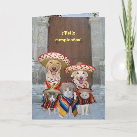 フェリツ・カンプレ! カード (正面)