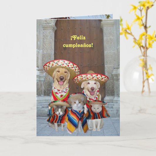 フェリツ・カンプレ！ カード (黄色い花)