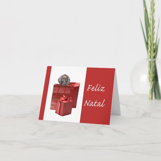 フェリツ・ナタール・ドイツ短編ポインタChistmas シーズンカード (正面)