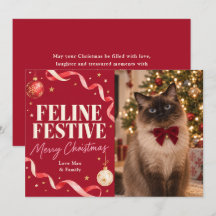 フェリンフェスティブ 猫 クリスマス 写真