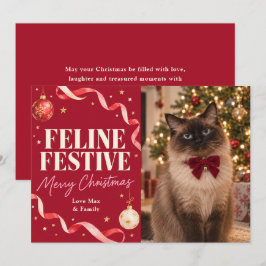 フェリンフェスティブ 猫 クリスマス 写真