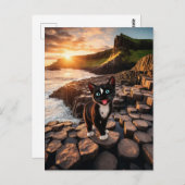 フェリーニのアイルランドの冒険 – 巨人のコーズウェイ ポストカード (正面/裏面)