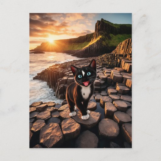 フェリーニのアイルランドの冒険 – 巨人のコーズウェイ ポストカード (正面)