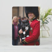 フェリーニのロンドンアドベンチャー – 伝統に守られた 招待状 (スタンド正面)