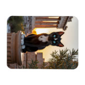 フェリーニはパルテノン神殿を訪れる:ギリシャのオデッセイ マグネット (横)