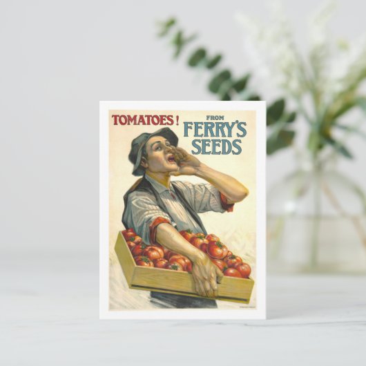 フェリーヴィンテージトマトシード広告 ポストカード (スタンド正面)