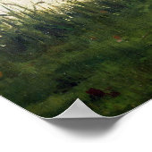 フェリー ポスター (角)