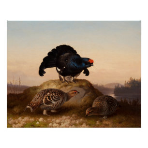 フェルディナントフォンライトOrrarのクロライチョウ1870年 ポスター