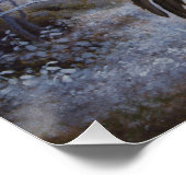 フェルディナンドフォンライトゴールデンイーグル1884 CC0313 ポスター (コーナー)