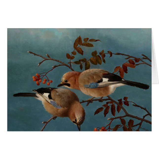 フェルディナンドフォンライト – Jays (正面横)