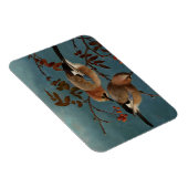 フェルディナンドフォンライト – Jays マグネット (右側)