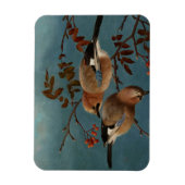 フェルディナンドフォンライト – Jays マグネット (縦)