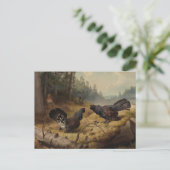 フェルディナンド・フォン・ライトの戦うケーペルカイリー ポストカード (スタンド正面)