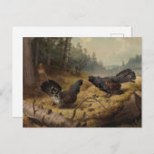 フェルディナンド・フォン・ライトの戦うケーペルカイリー ポストカード (正面/裏面)