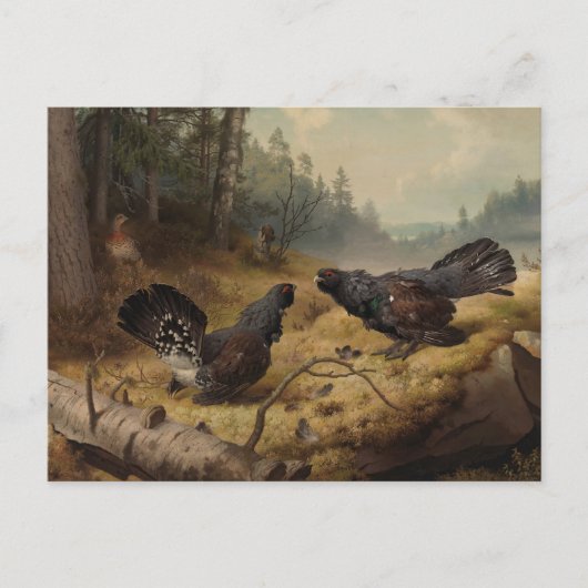 フェルディナンド・フォン・ライトの戦うケーペルカイリー ポストカード (正面)