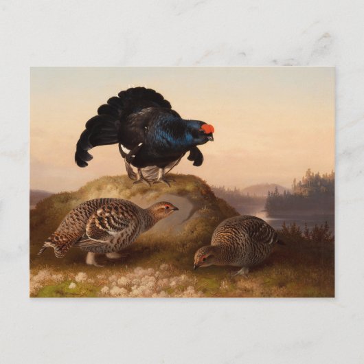 フェルディナンド・フォン・ライト・ブラックグラウズCC0822 ポストカード (正面)