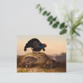 フェルディナンド・フォン・ライト・ブラックグラウズCC0822 ポストカード (スタンド正面)