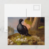 フェルディナンド・フォン・ライト・ブラック・グラウズCC0065 ポストカード (正面/裏面)