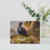 フェルディナンド・フォン・ライト・ブラック・グラウズCC0065 ポストカード (スタンド正面)