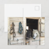 フェルデ ポストカード (正面/裏面)