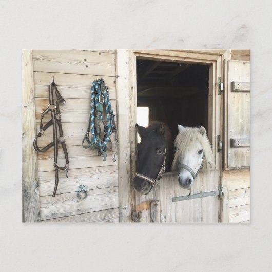 フェルデ ポストカード (正面)