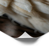 フェルトバードポートレート ポスター (コーナー)