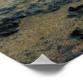 フェルナンド・デ・ノーニャ – 岩 ポスター (角)