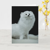 フェレタキシダーミー山ファインアート写真 カード (黄色い花)