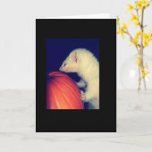 フェレットおよびカボチャ カード (黄色い花)