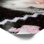 フェレットと猫の眠り ポスター (コーナー)