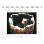 フェレットのカレンダーの第1版 カレンダー (カバー)