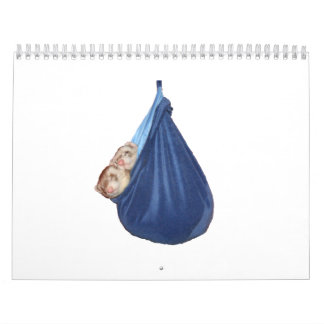 フェレットのカレンダー2011年 カレンダー